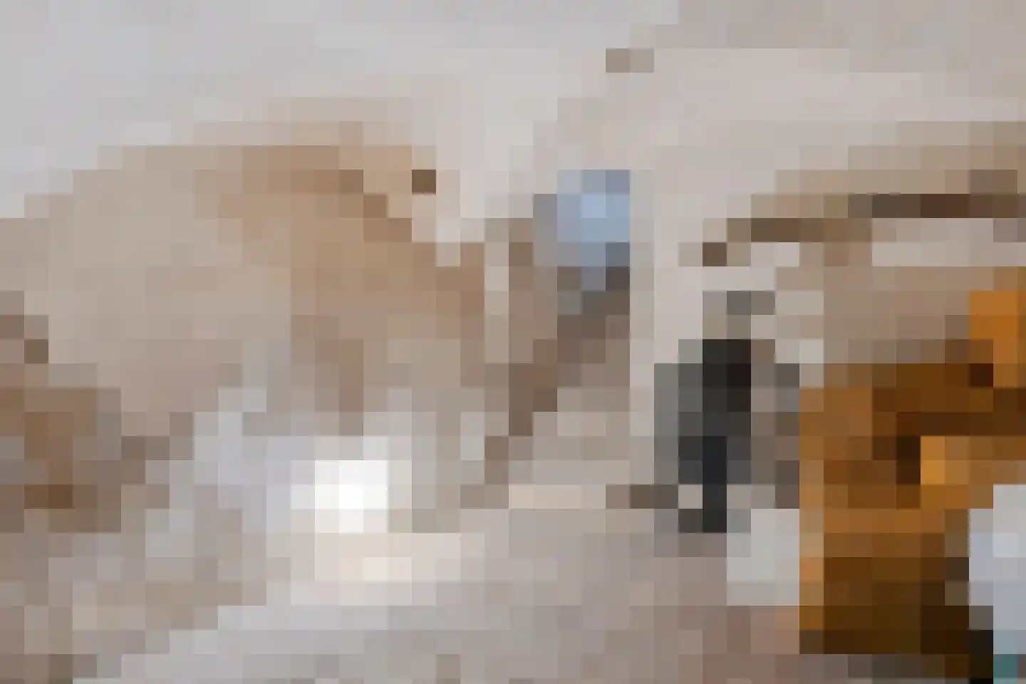 Koepoortstraat 6 Doesburg thumbnail 51