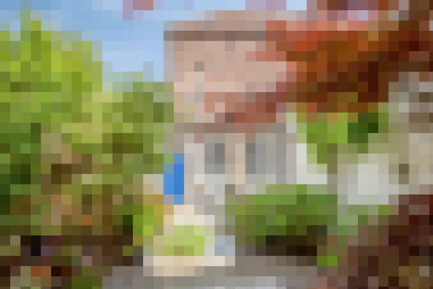 Koepoortstraat 6 Doesburg thumbnail 52