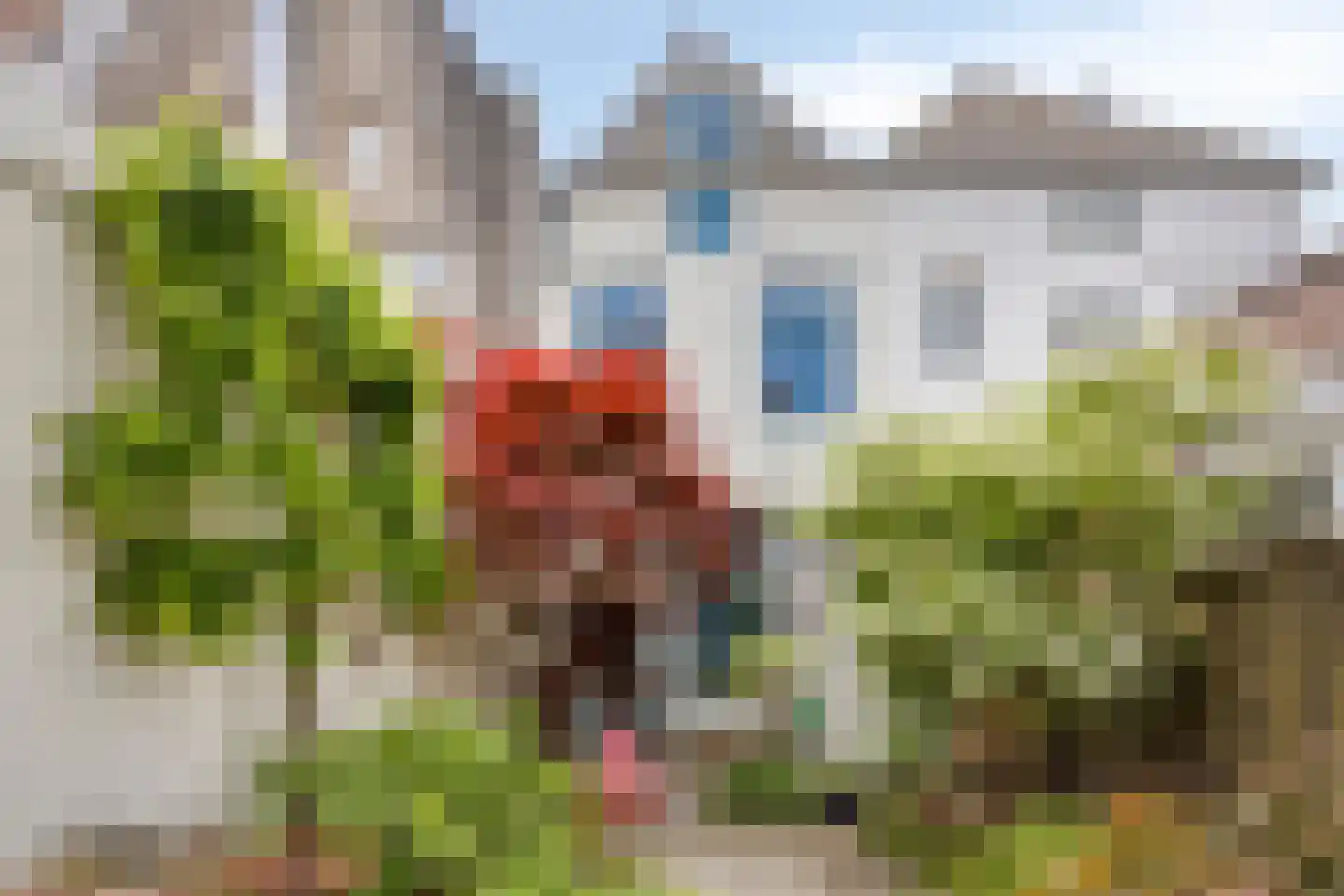 Koepoortstraat 6 Doesburg thumbnail 55