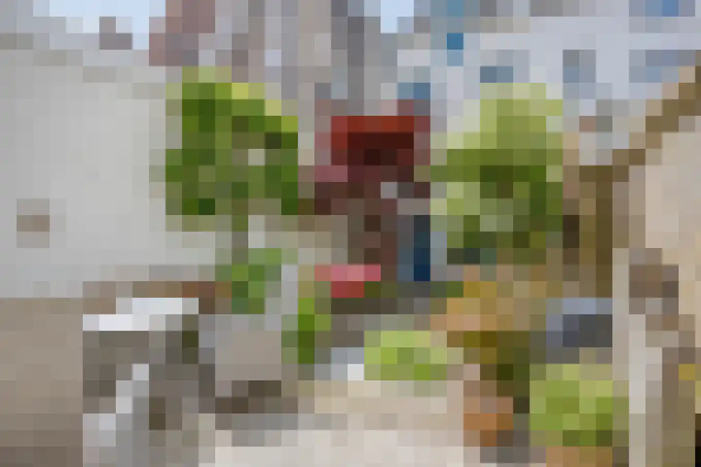 Koepoortstraat 6 Doesburg thumbnail 6