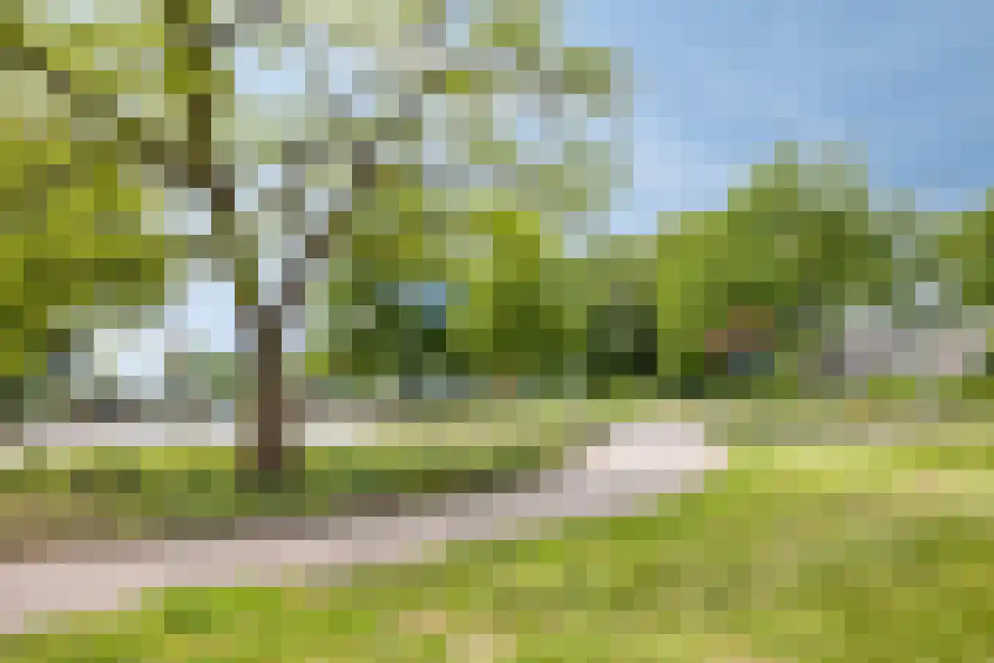 Koepoortstraat 6 Doesburg thumbnail 62