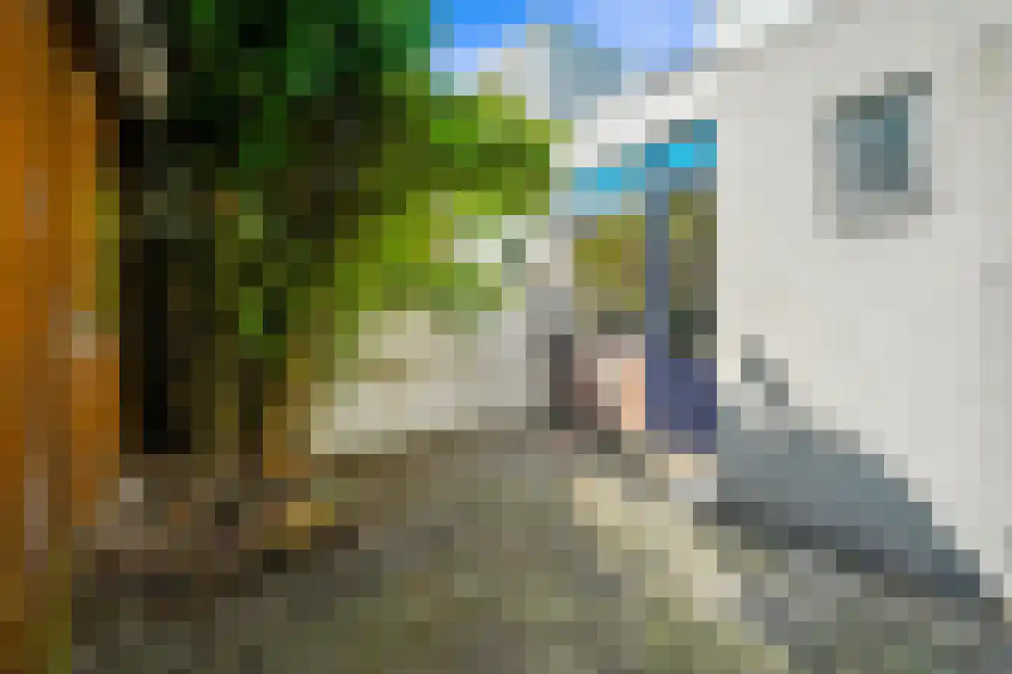 Koepoortstraat 7 Delft thumbnail 15