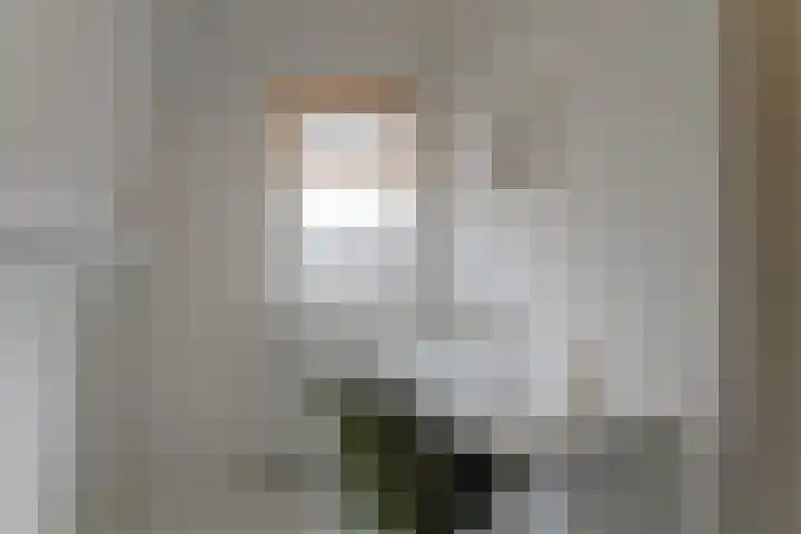 Koepoortsweg 25 Hoorn thumbnail 29