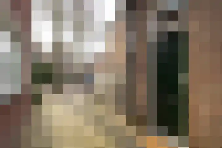 Koepoortsweg 25 Hoorn thumbnail 4