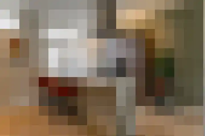Koepoortsweg 25 Hoorn thumbnail 7