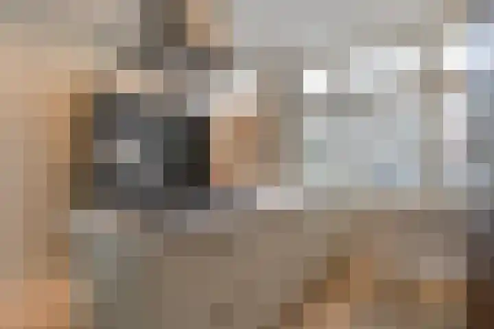 Koepoortsweg 25 Hoorn thumbnail 8