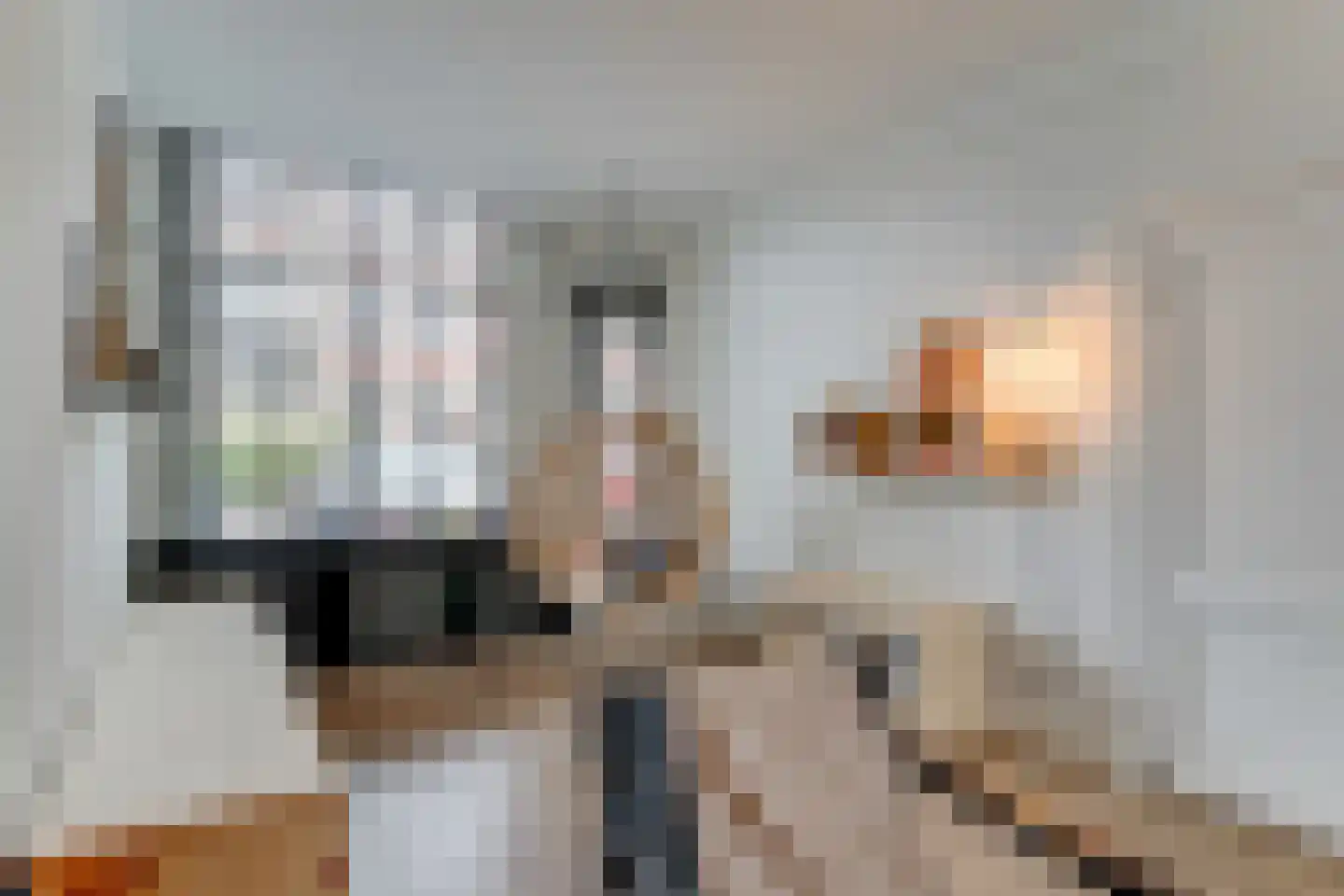 Koepoortsweg 3 Hoorn thumbnail 11