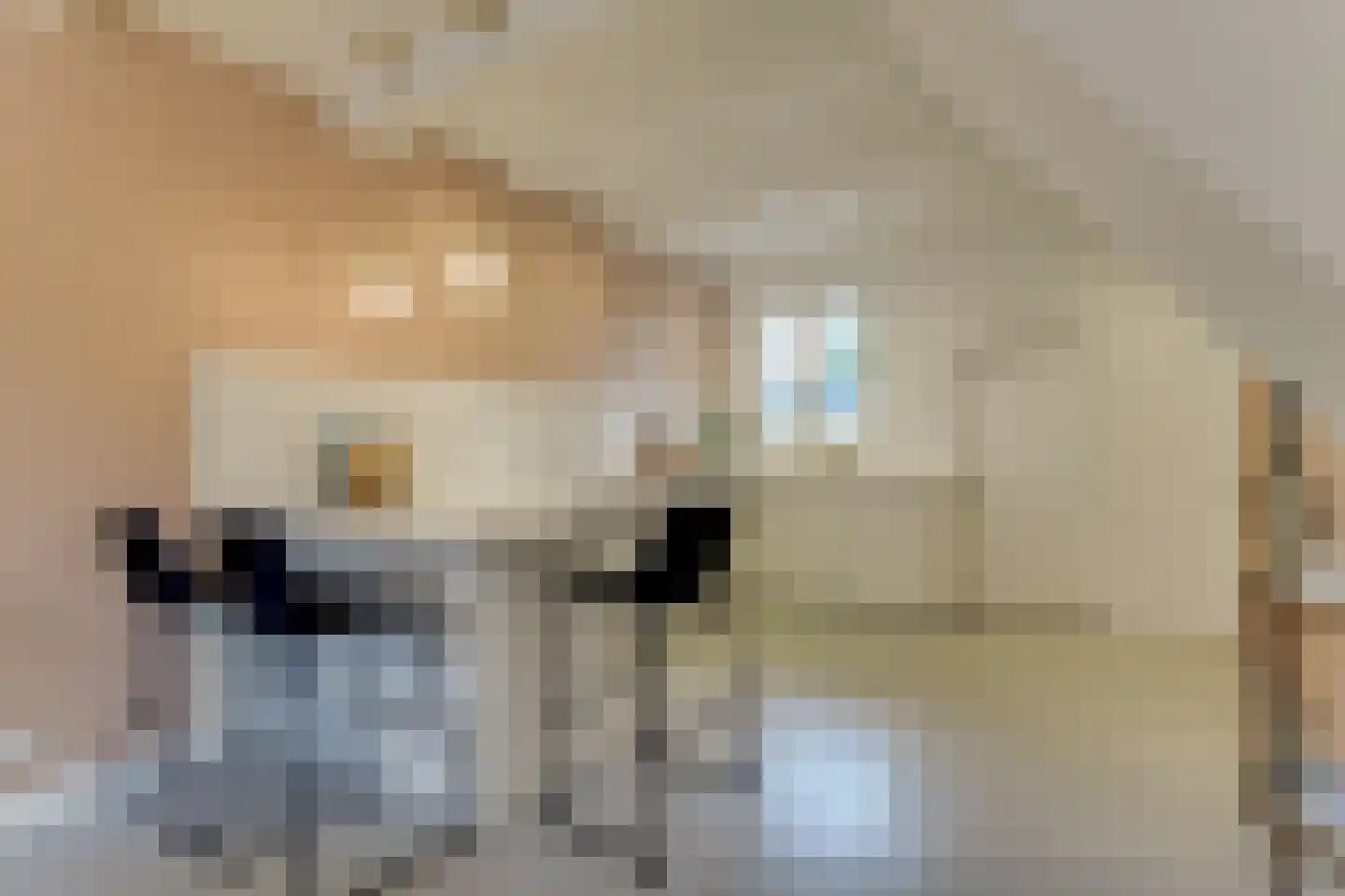 Koepoortsweg 3 Hoorn thumbnail 21
