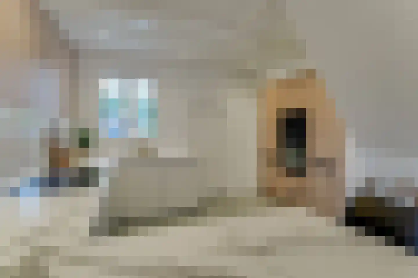 Koepoortsweg 3 Hoorn thumbnail 22