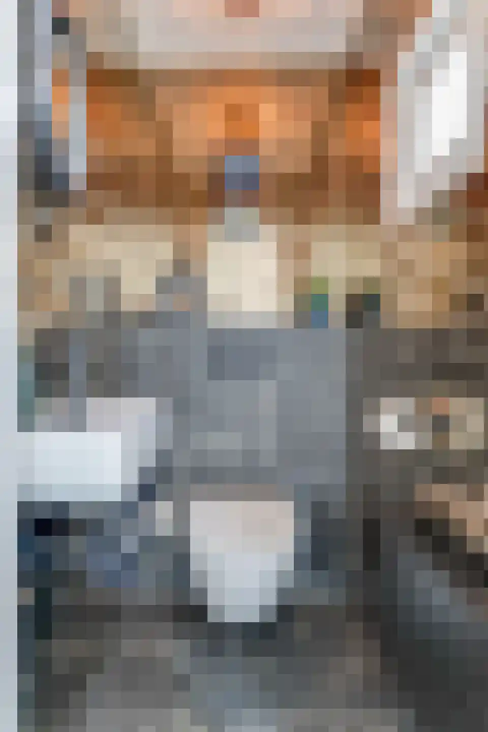 Koepoortsweg 3 Hoorn thumbnail 25