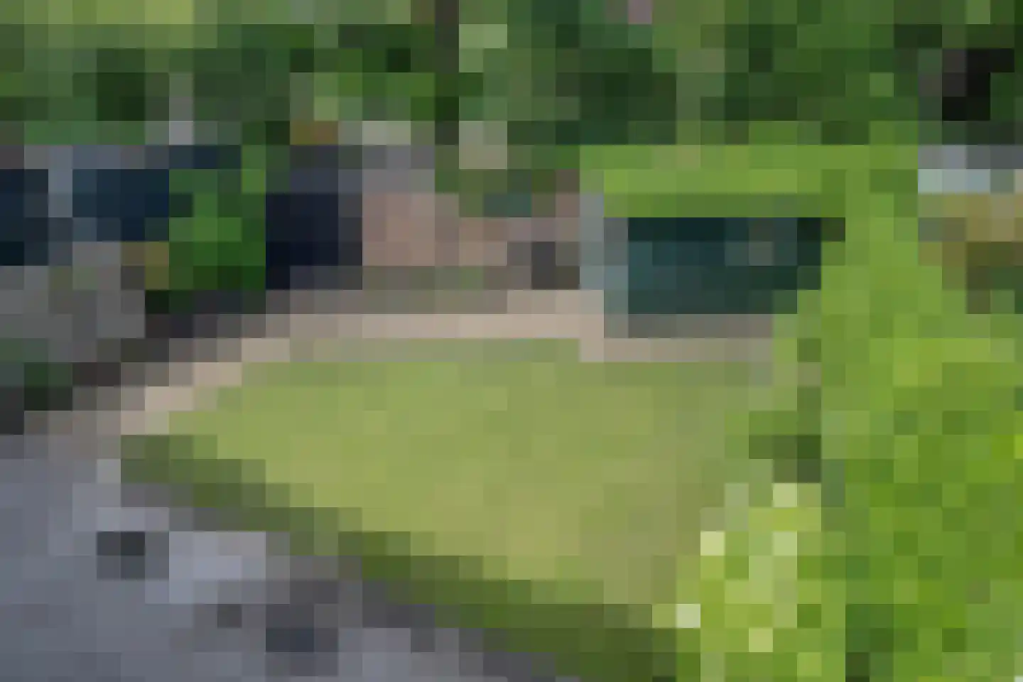 Koepoortsweg 3 Hoorn thumbnail 30