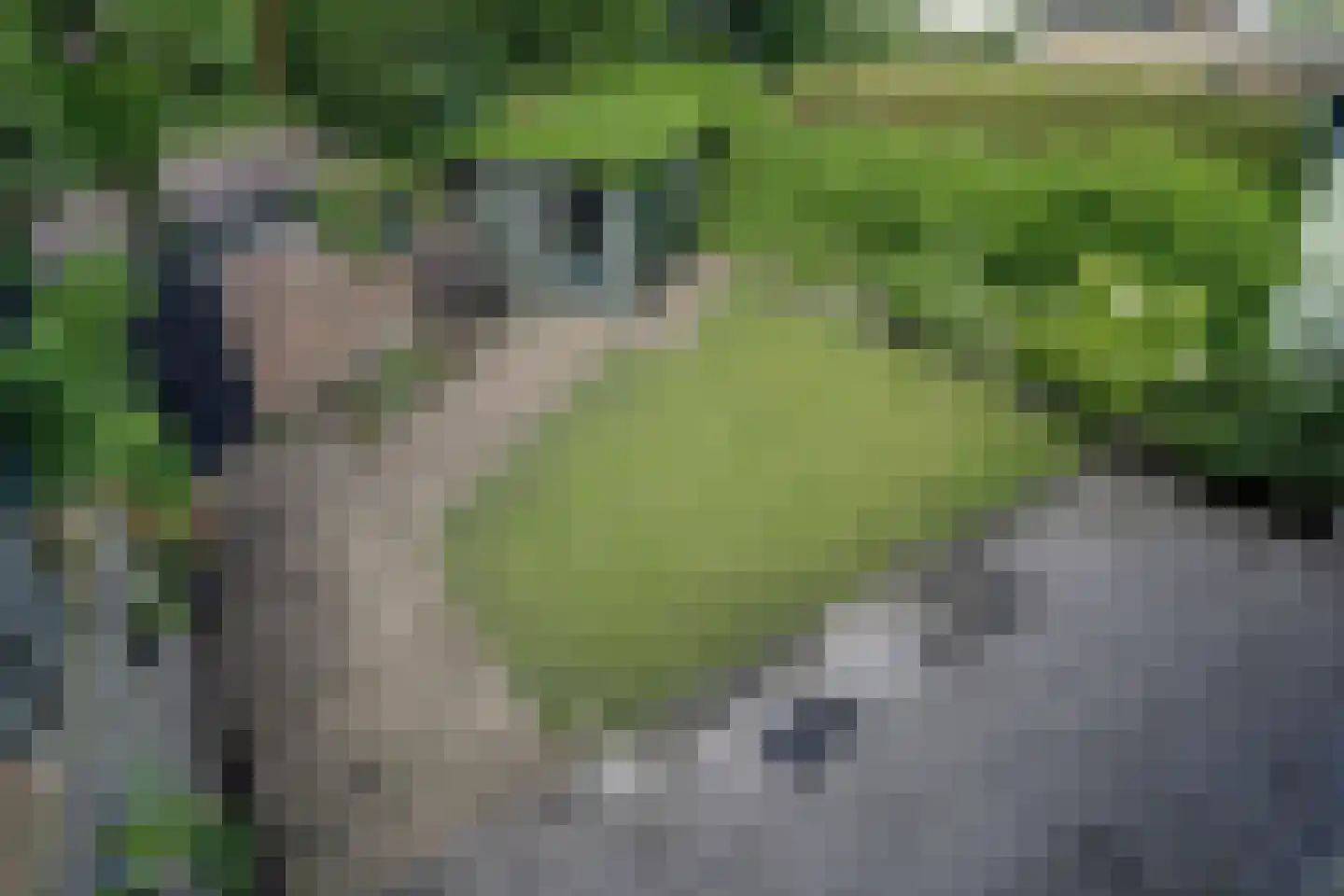 Koepoortsweg 3 Hoorn thumbnail 31