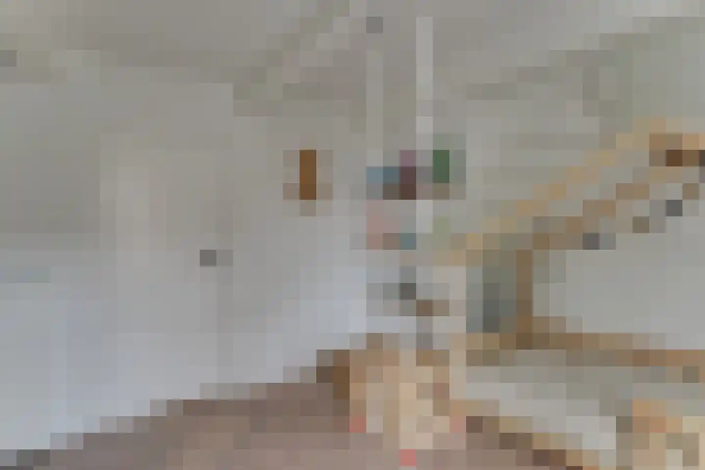 Koepoortsweg 3 Hoorn thumbnail 38