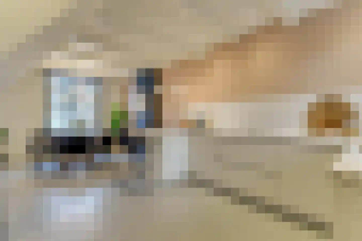 Koepoortsweg 3 Hoorn thumbnail 4