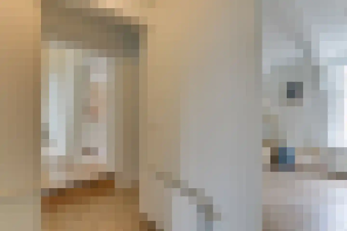 Koepoortsweg 3 Hoorn thumbnail 45