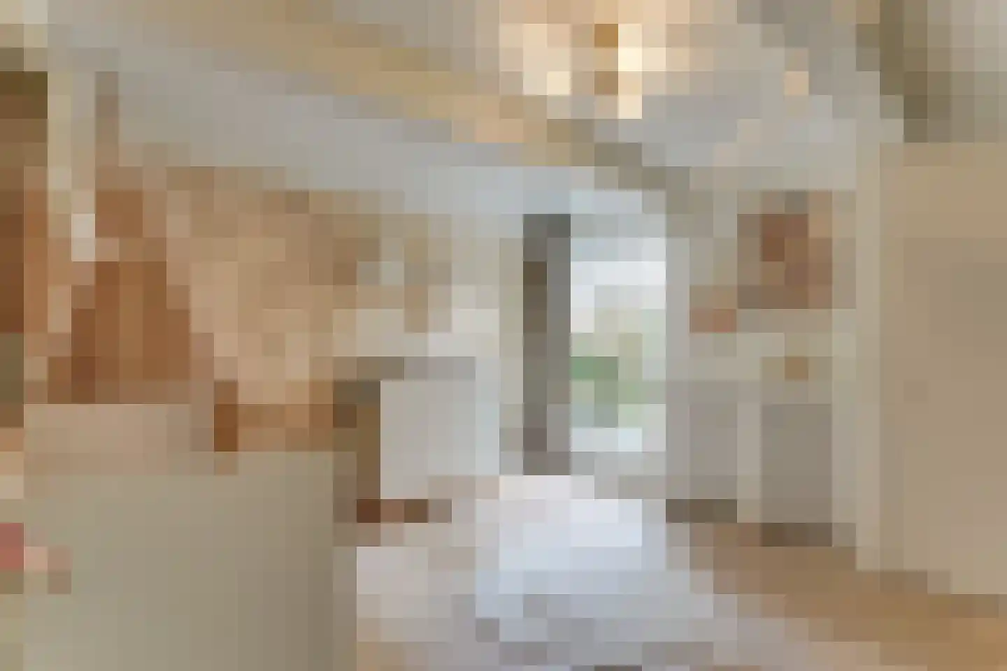 Koepoortsweg 3 Hoorn thumbnail 46