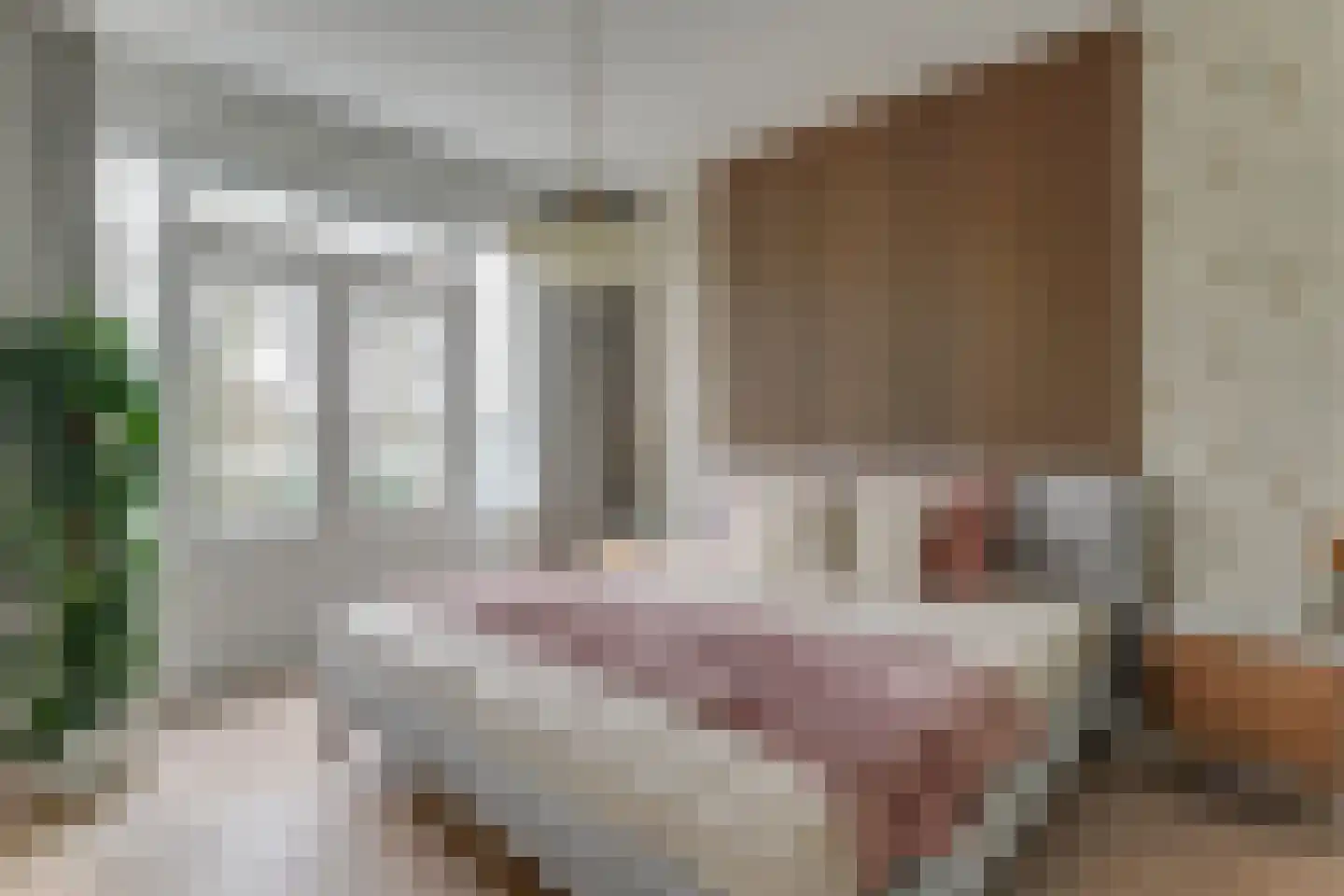 Koepoortsweg 3 Hoorn thumbnail 53