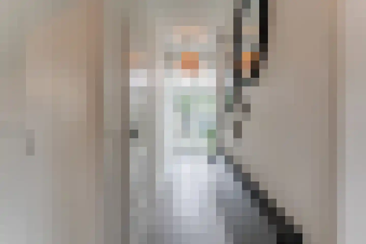 Koepoortsweg 3 Hoorn thumbnail 6