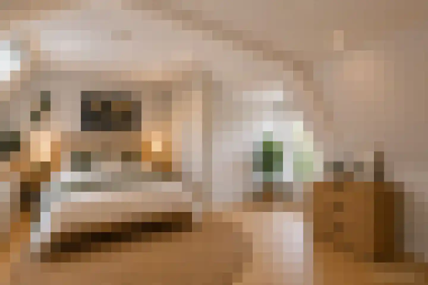Koepoortsweg 3 Hoorn thumbnail 65