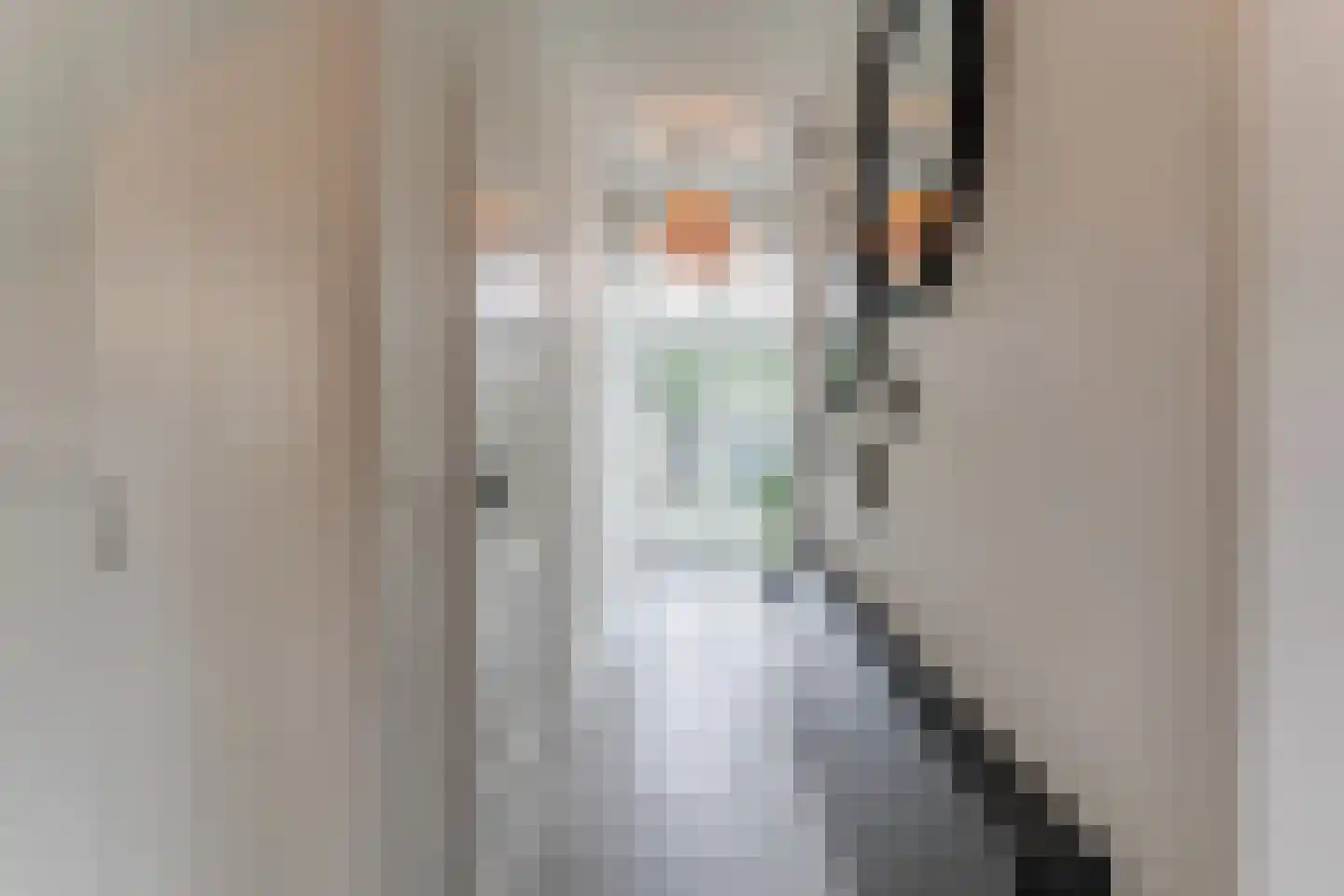 Koepoortsweg 3 Hoorn thumbnail 7