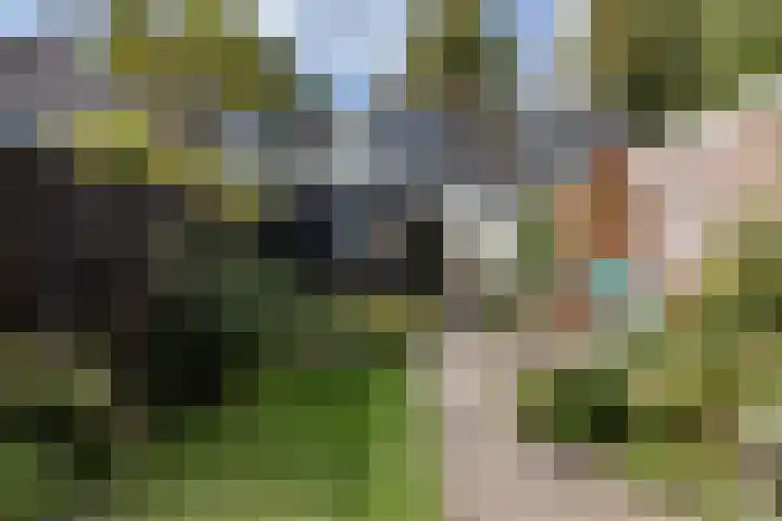 Koepoortsweg 34 Hoorn thumbnail 42