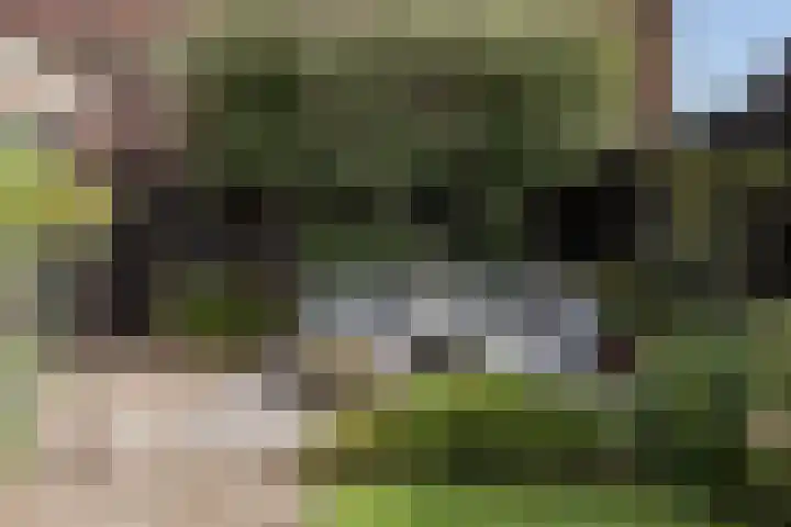 Koepoortsweg 34 Hoorn thumbnail 47