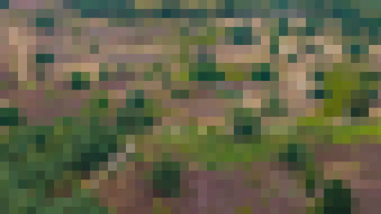 Koerbergseweg 2 Heerde thumbnail 100