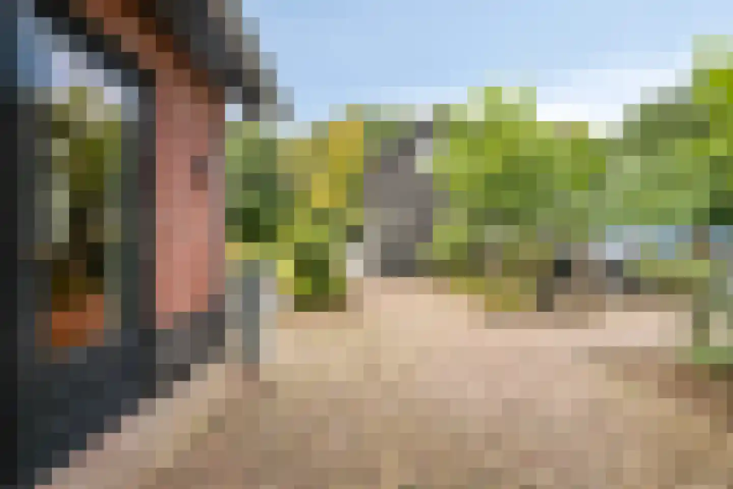Koerbergseweg 2 Heerde thumbnail 62