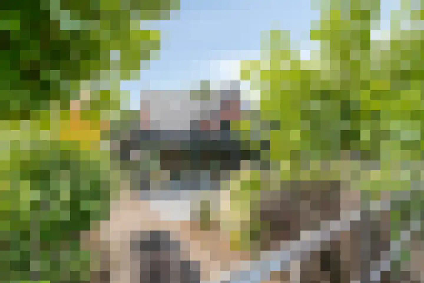 Koerbergseweg 2 Heerde thumbnail 67