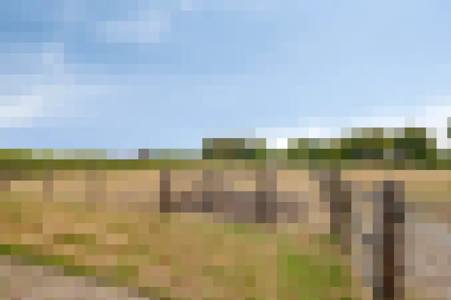 Koerbergseweg 2 Heerde thumbnail 70