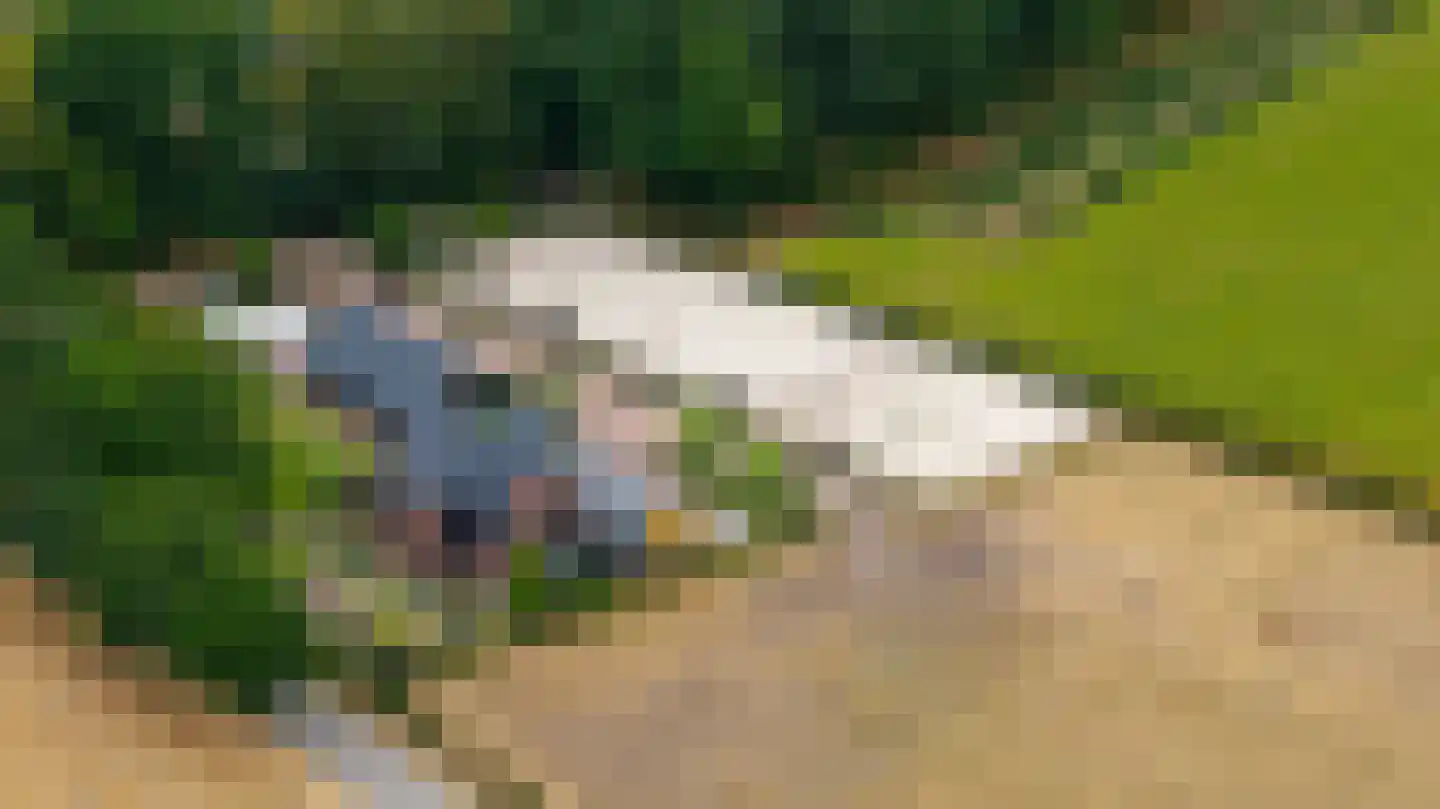 Koerbergseweg 2 Heerde thumbnail 71