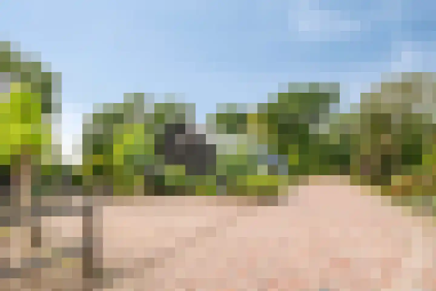 Koerbergseweg 2 Heerde thumbnail 75