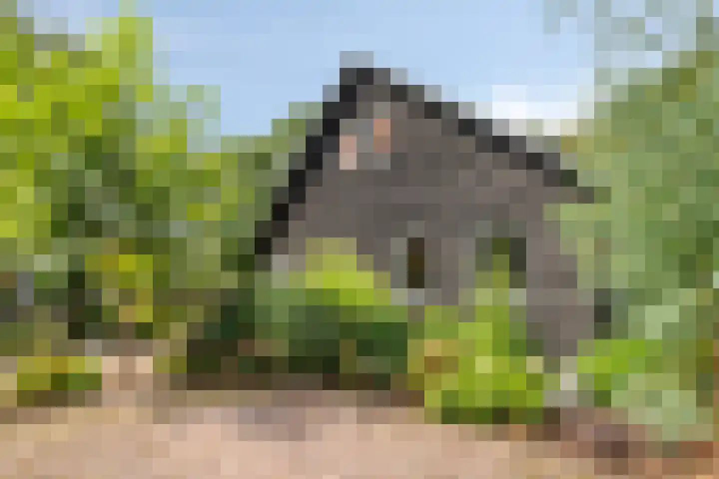 Koerbergseweg 2 Heerde thumbnail 79