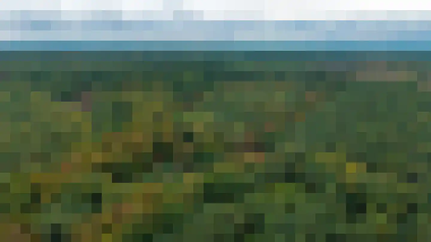 Koerbergseweg 2 Heerde thumbnail 99