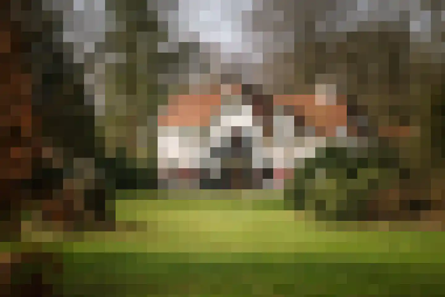 Koerbergseweg 6 Heerde