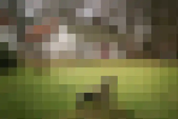 Koerbergseweg 6 Heerde thumbnail 30