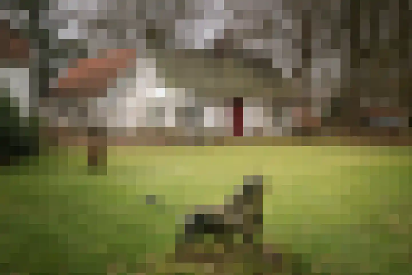 Koerbergseweg 6 Heerde thumbnail 30