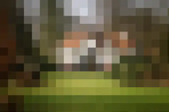 Koerbergseweg 6 Heerde thumbnail 37