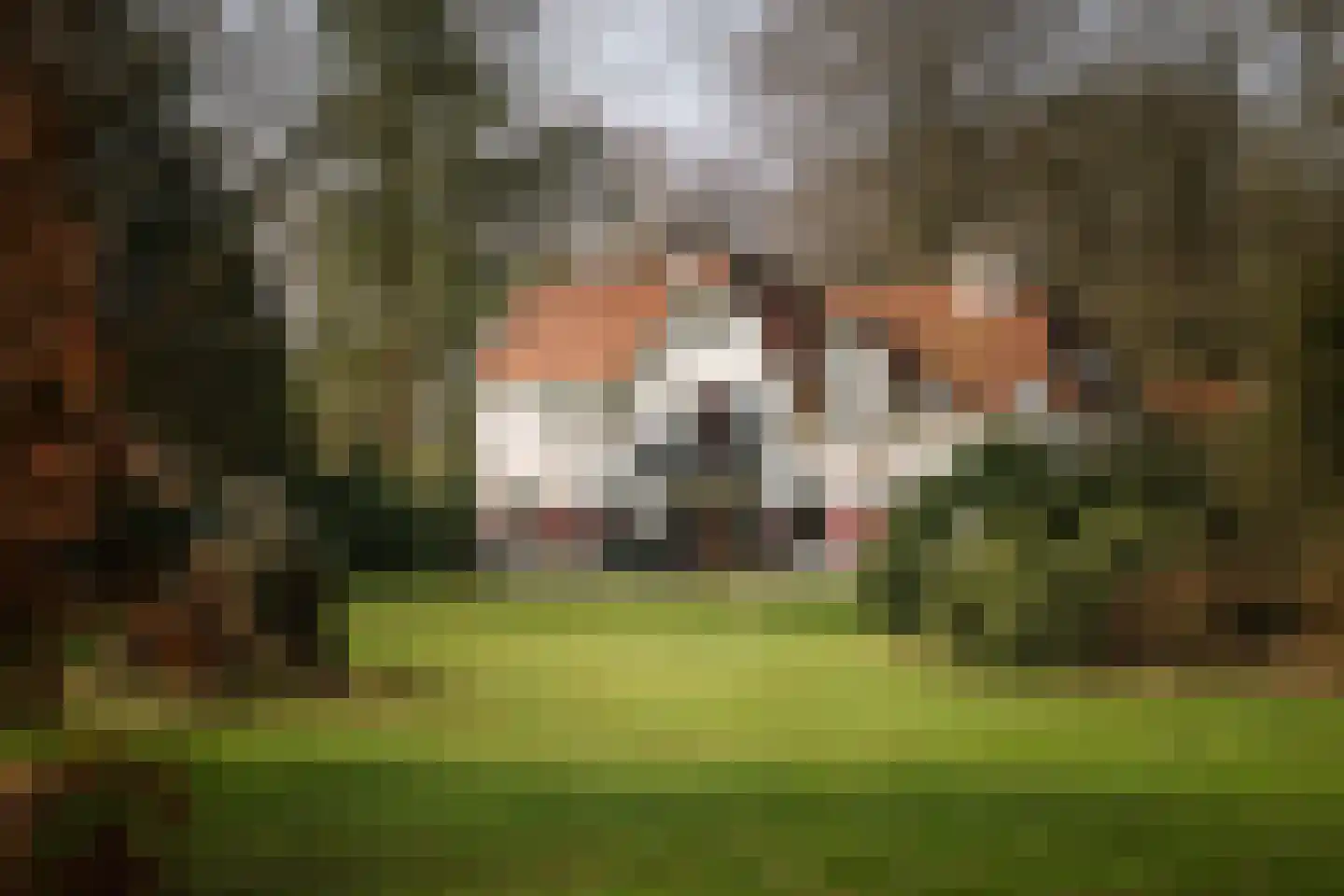 Koerbergseweg 6 Heerde thumbnail 37