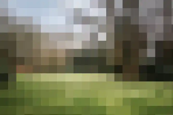 Koerbergseweg 6 Heerde thumbnail 38