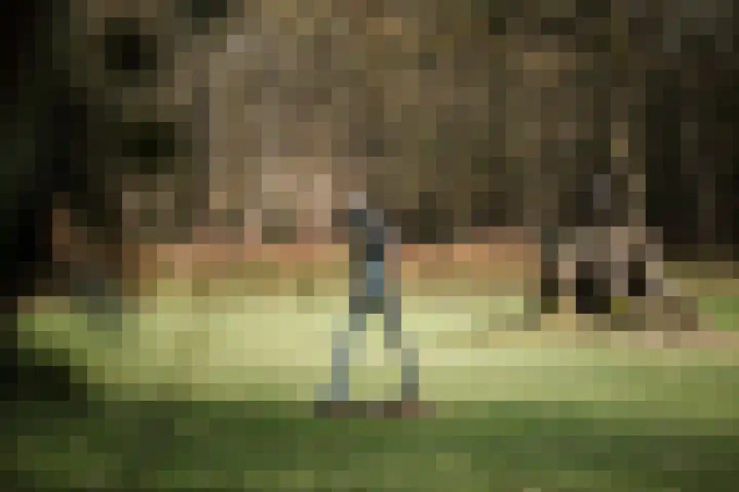 Koerbergseweg 6 Heerde thumbnail 39
