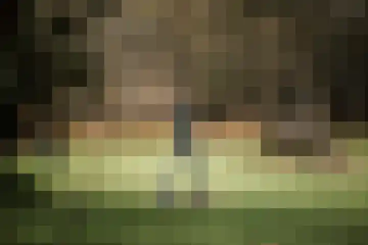Koerbergseweg 6 Heerde thumbnail 39