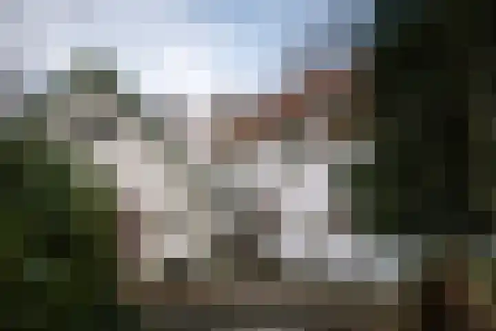 Koerbergseweg 6 Heerde thumbnail 4