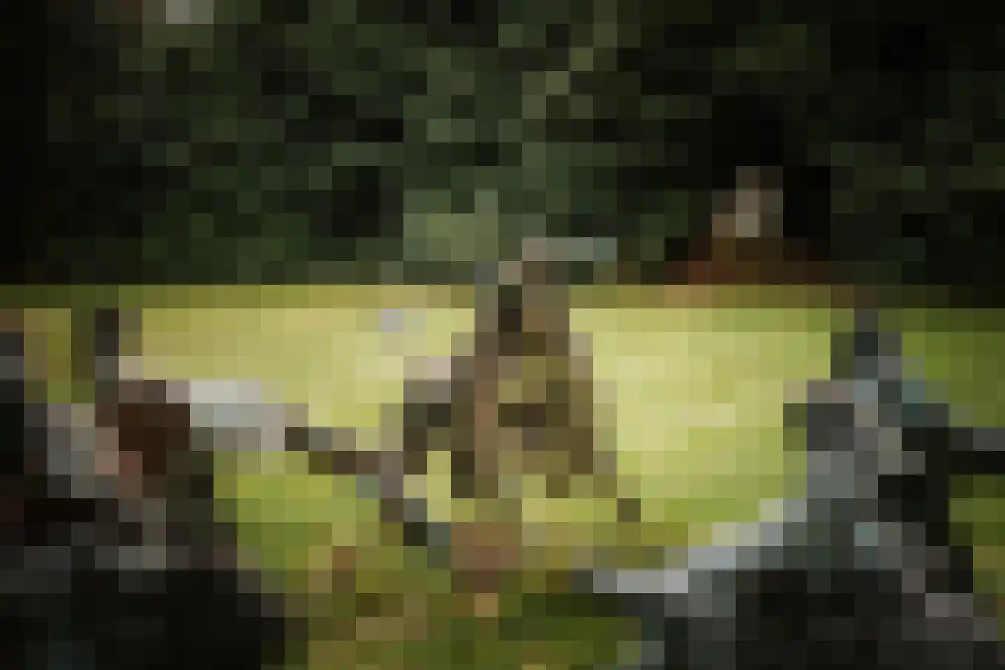 Koerbergseweg 6 Heerde thumbnail 40