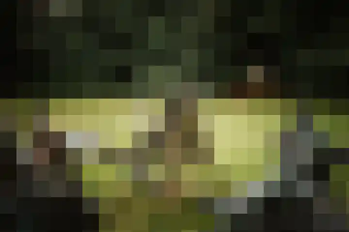 Koerbergseweg 6 Heerde thumbnail 40