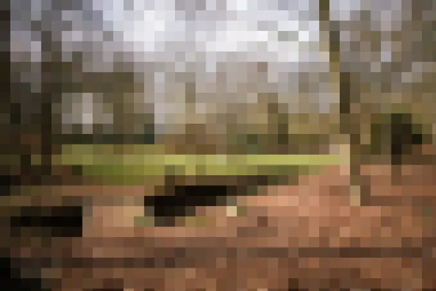 Koerbergseweg 6 Heerde thumbnail 41