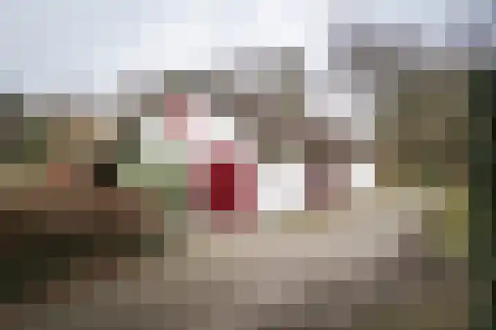 Koerbergseweg 6 Heerde thumbnail 45