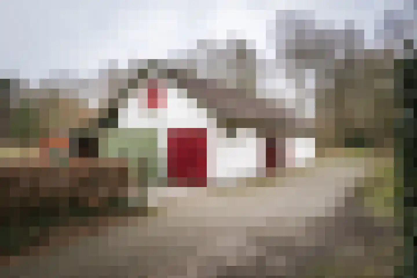 Koerbergseweg 6 Heerde thumbnail 45