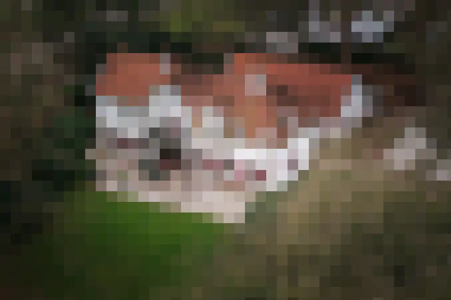 Koerbergseweg 6 Heerde thumbnail 5