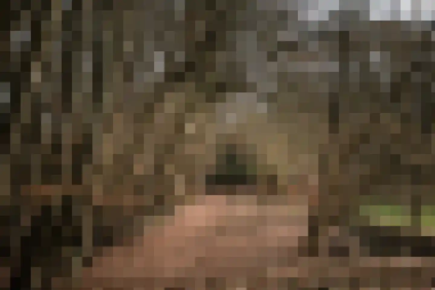 Koerbergseweg 6 Heerde thumbnail 50